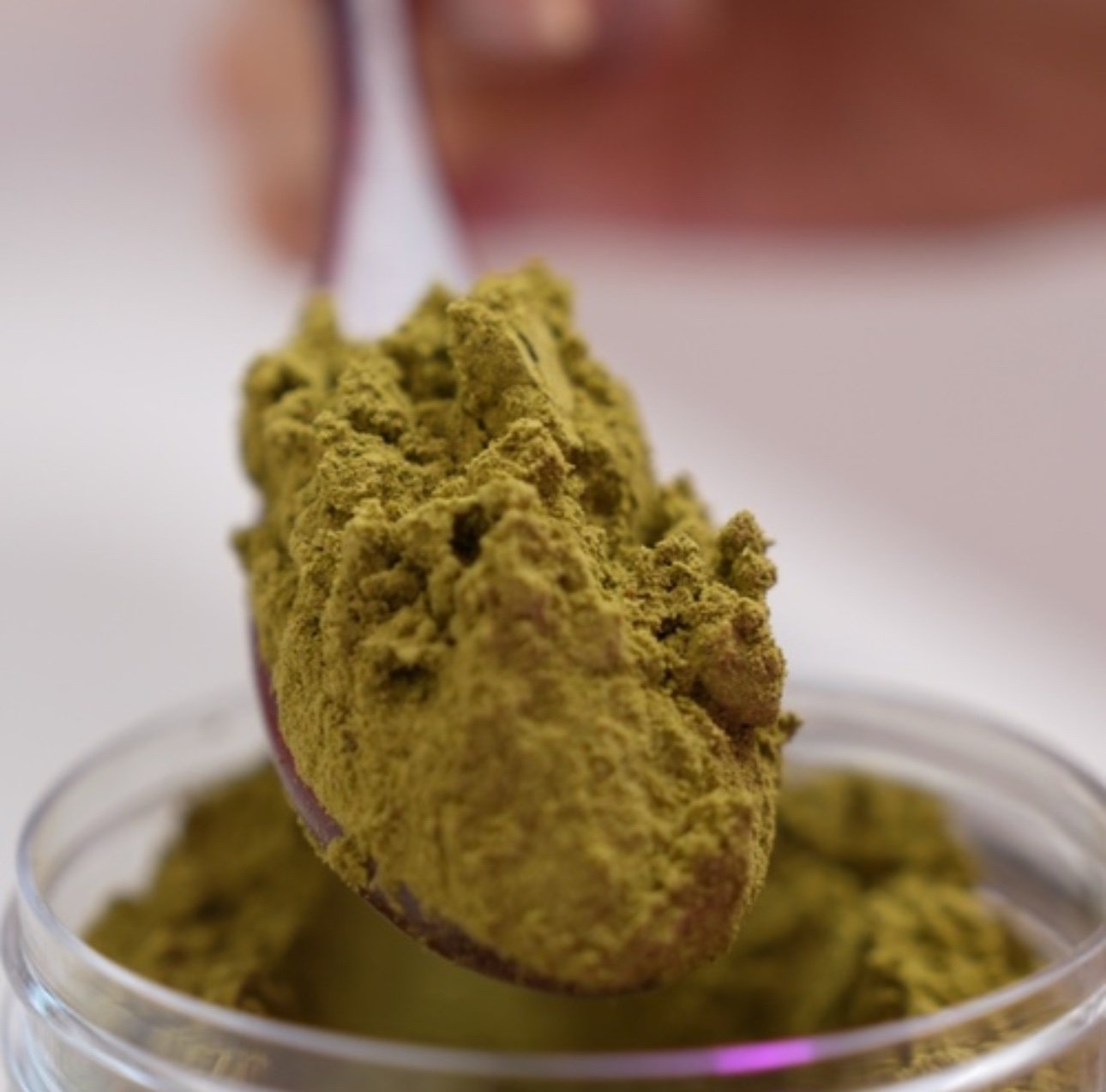 سدر ليدي بالاعشاب